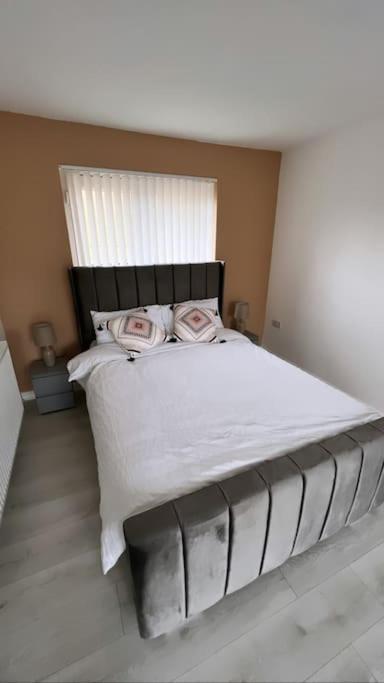 3 Stories, 5 Bedroom House In Prime Location With Balcony And Shared Garden Liverpool Extérieur photo